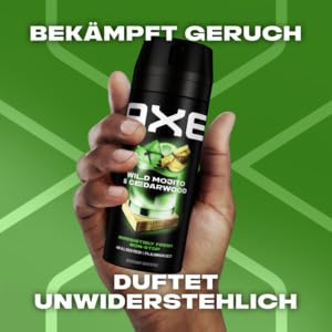 Axe Alaska Bodyspray 250 ML