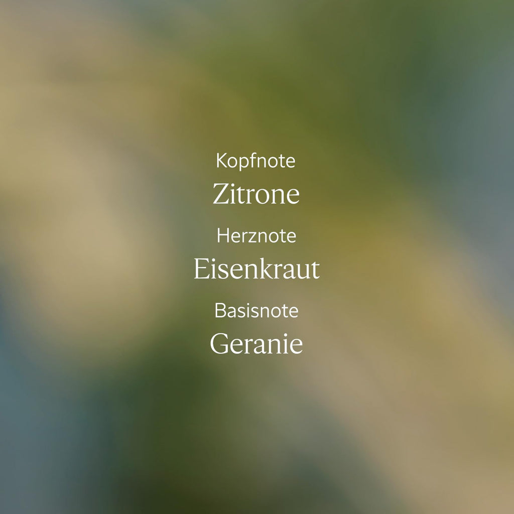 L'OCCITANE - Handcreme - Leichte Textur und zarter Duft - Made in France