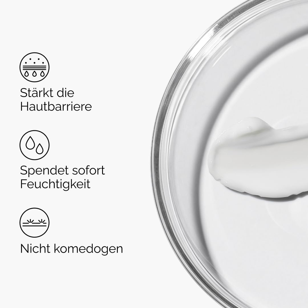 The Ordinary Natural Moisturizing Factors + HA