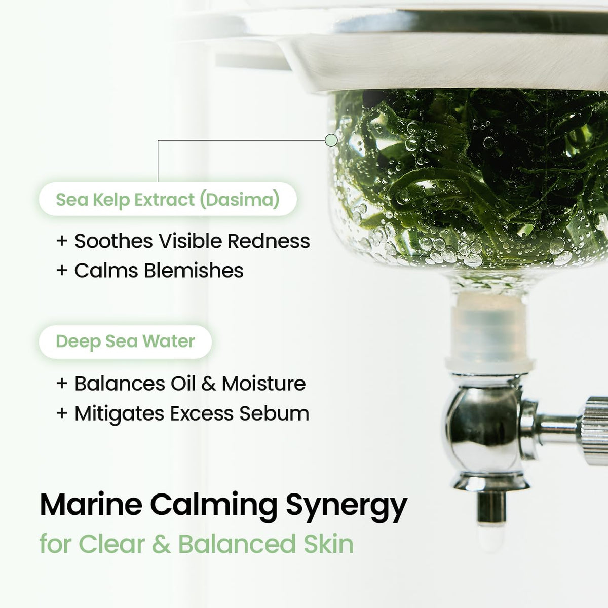 BIODANCE Refreshing Sea Kelp Real Deep Mask, Hydrogel Mask, Calming, Oil & Sebum Control, Blemish Care, Korean Skincare, 34 g x 4ea
