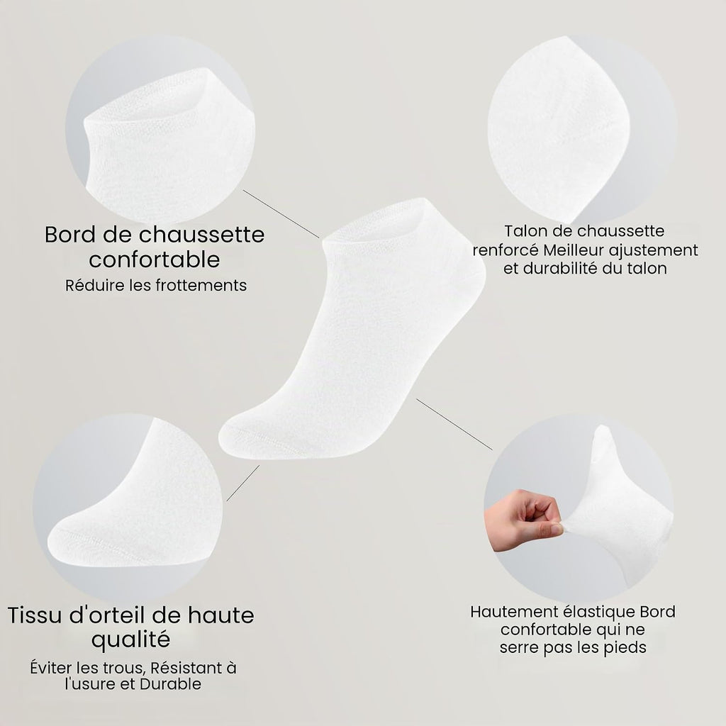 Chaussettes Basses Homme Femme lot de 12 Paires Socquette Sport Coton Socquettes Respirant Courtes Chaussette Femme Coton Courtes Bassese