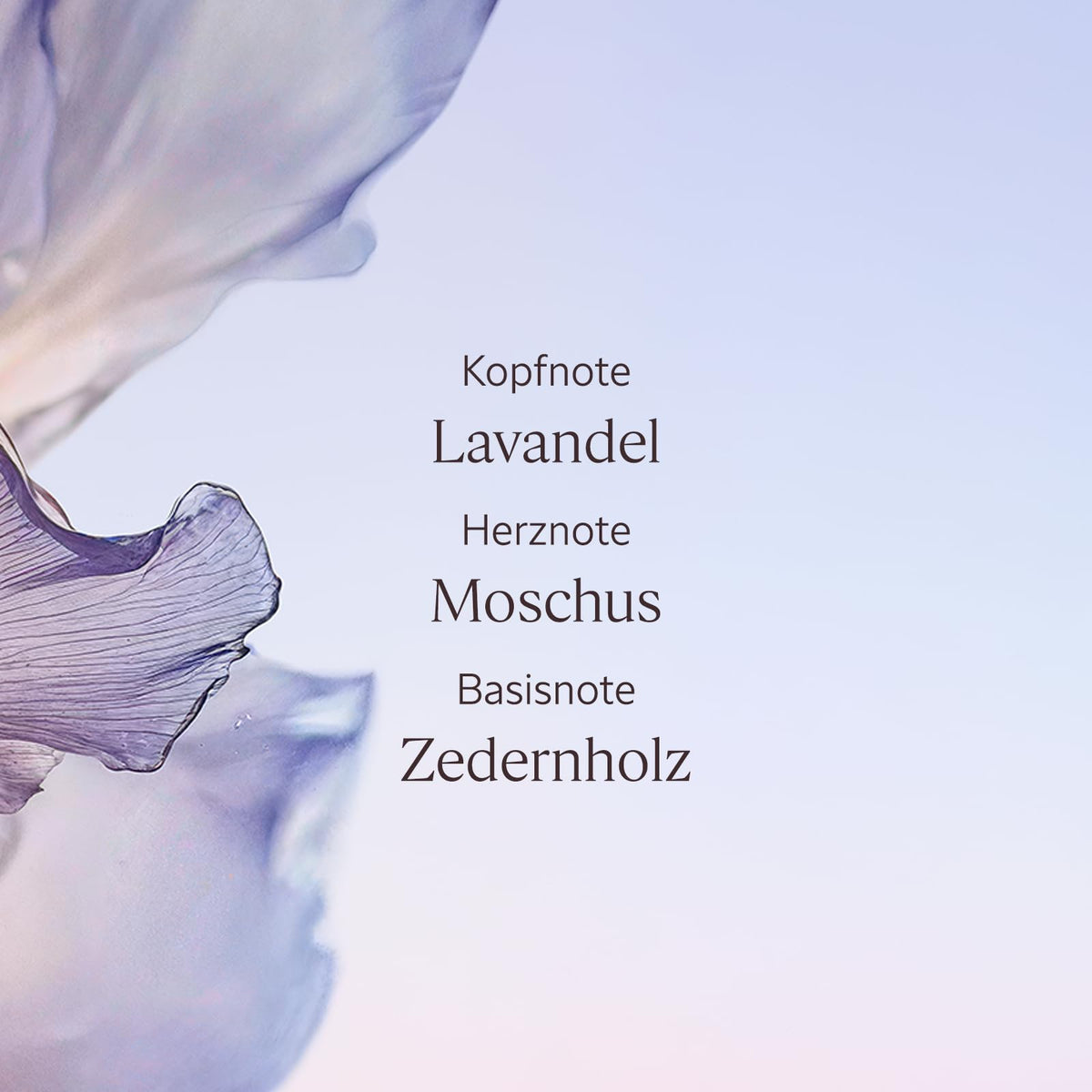L'OCCITANE - Handcreme - Leichte Textur und zarter Duft - Made in France