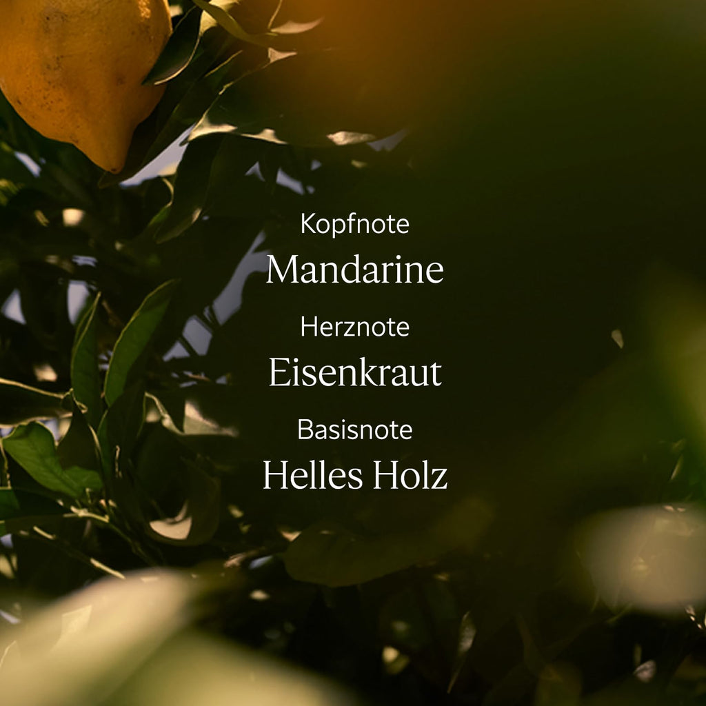 L'OCCITANE - Handcreme - Leichte Textur und zarter Duft - Made in France