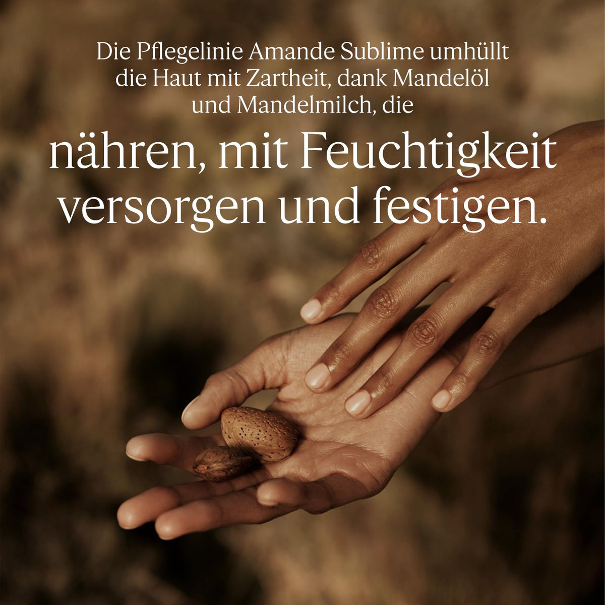 L'OCCITANE - Handcreme - Leichte Textur und zarter Duft - Made in France