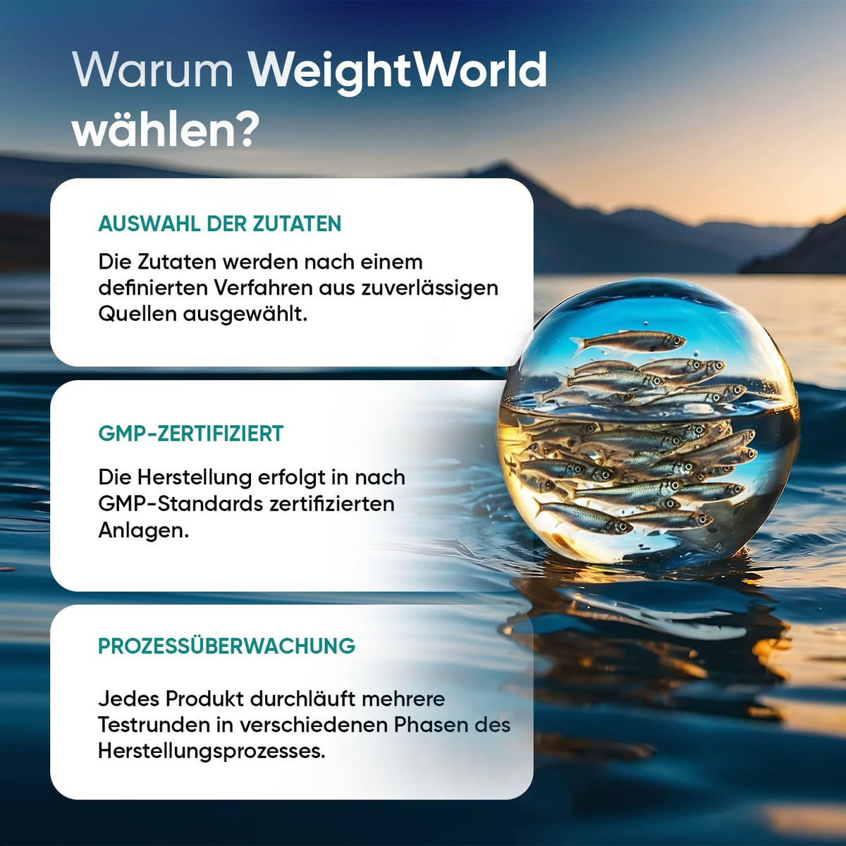 WeightWorld Omega 3 Weichkapseln - 2000mg Fischöl - 660mg EPA & 440mg DHA