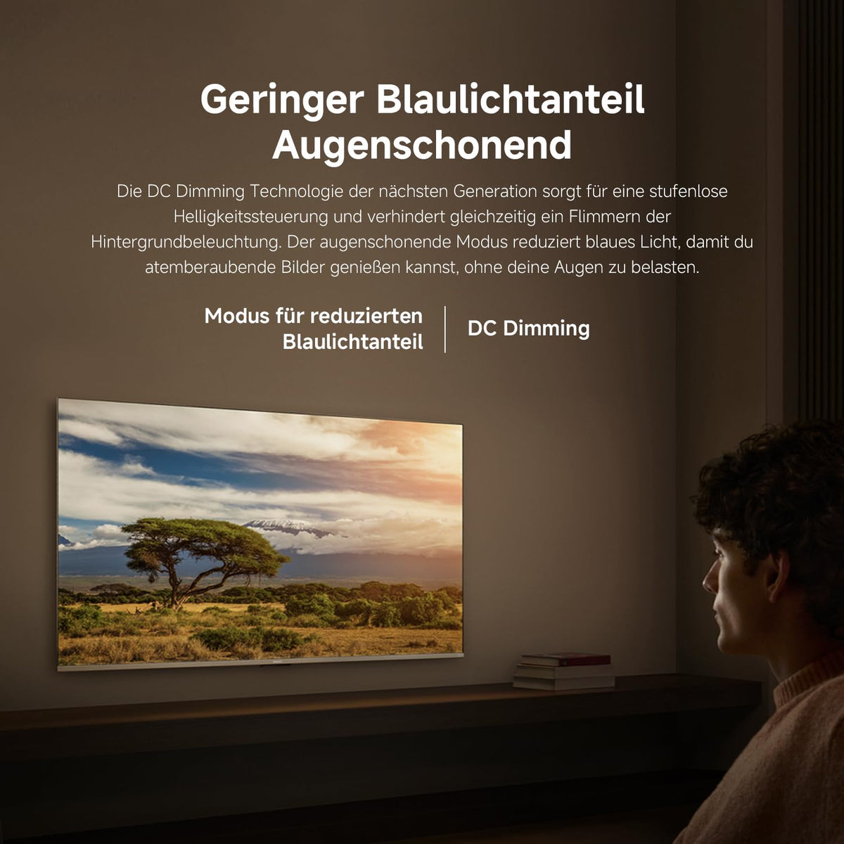 Xiaomi TV F 65 Zoll 2025, 4K UHD, Smart TV, Fire OS8, HDR10, L65MB-FAEU