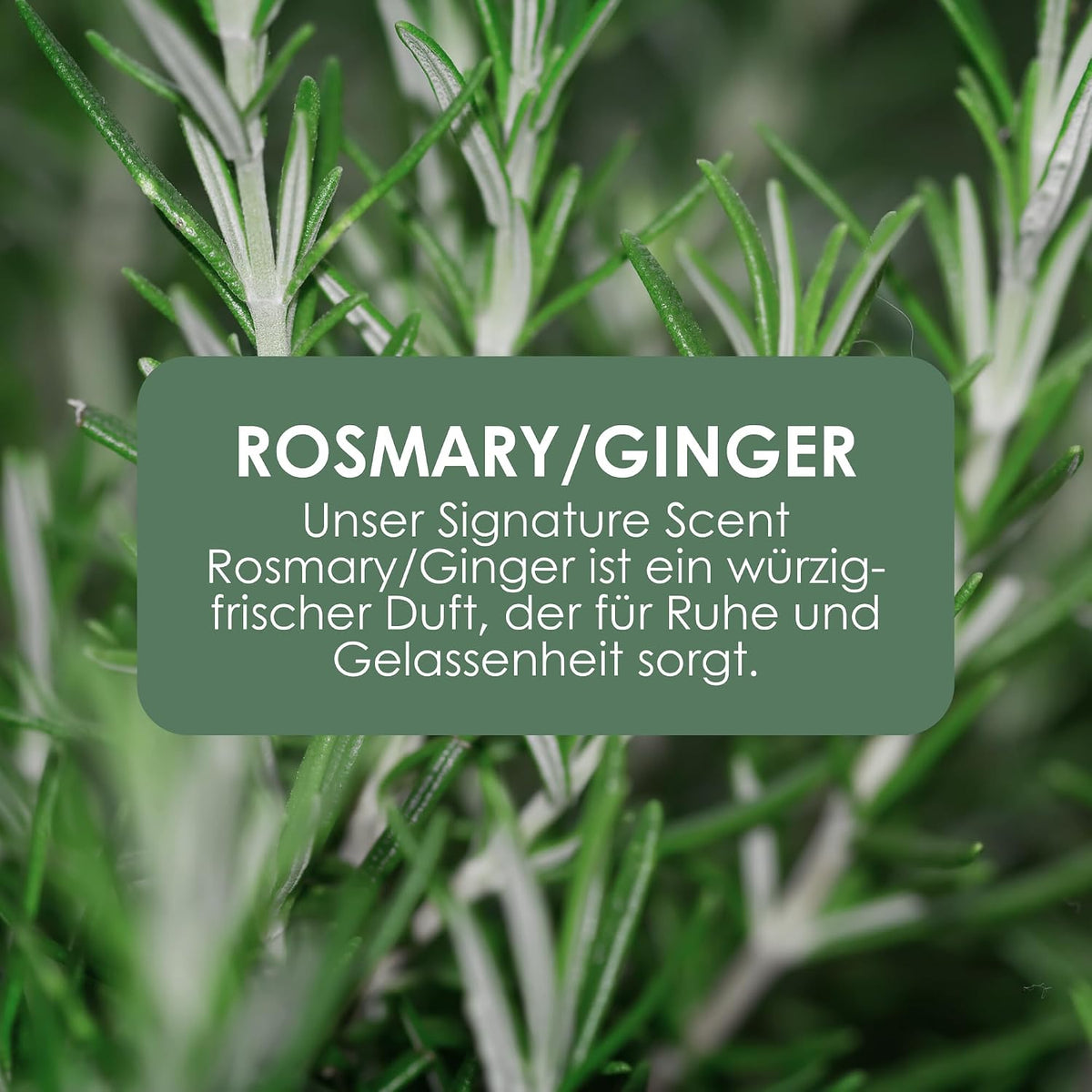 Jean & Len Sehr geile Handcreme Rosemary & Ginger, vegan, 6 x 75 ml