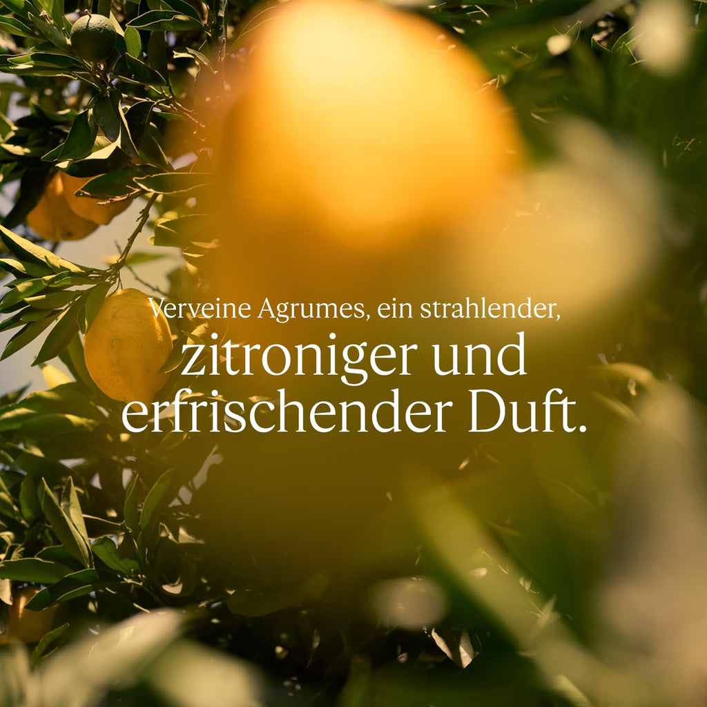 L'OCCITANE - Handcreme - Leichte Textur und zarter Duft - Made in France