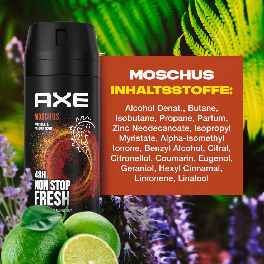Axe Alaska Bodyspray 250 ML