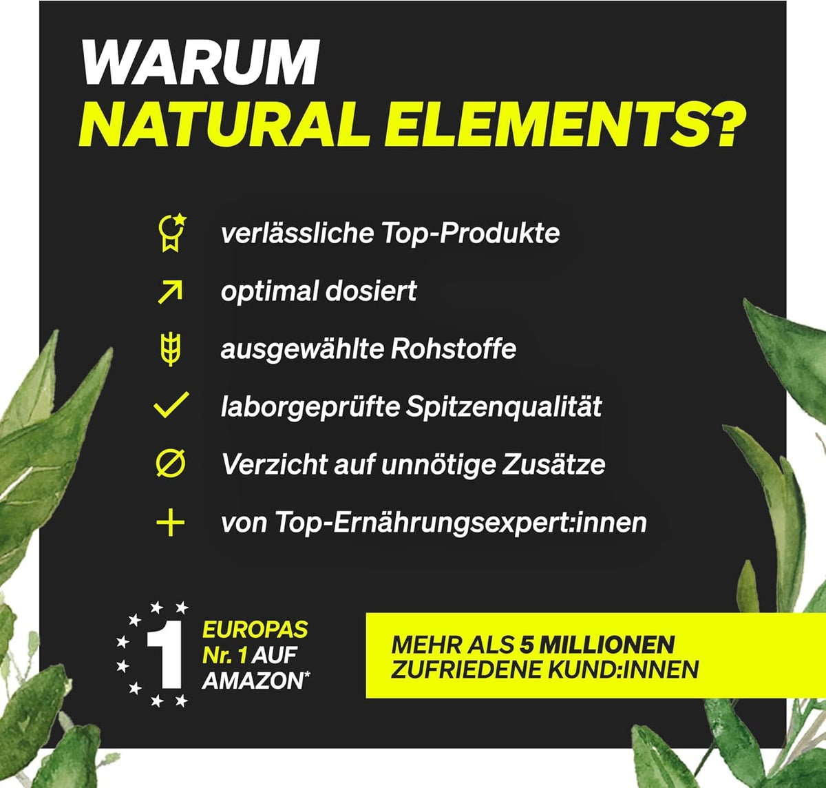 natural elements Omega 3 – 365 Kapseln – 2000mg Fischöl pro Tagesdosis – mit EPA und DHA in Triglycerid-Form – Laborgeprüft und aufwendig aufgereinigt