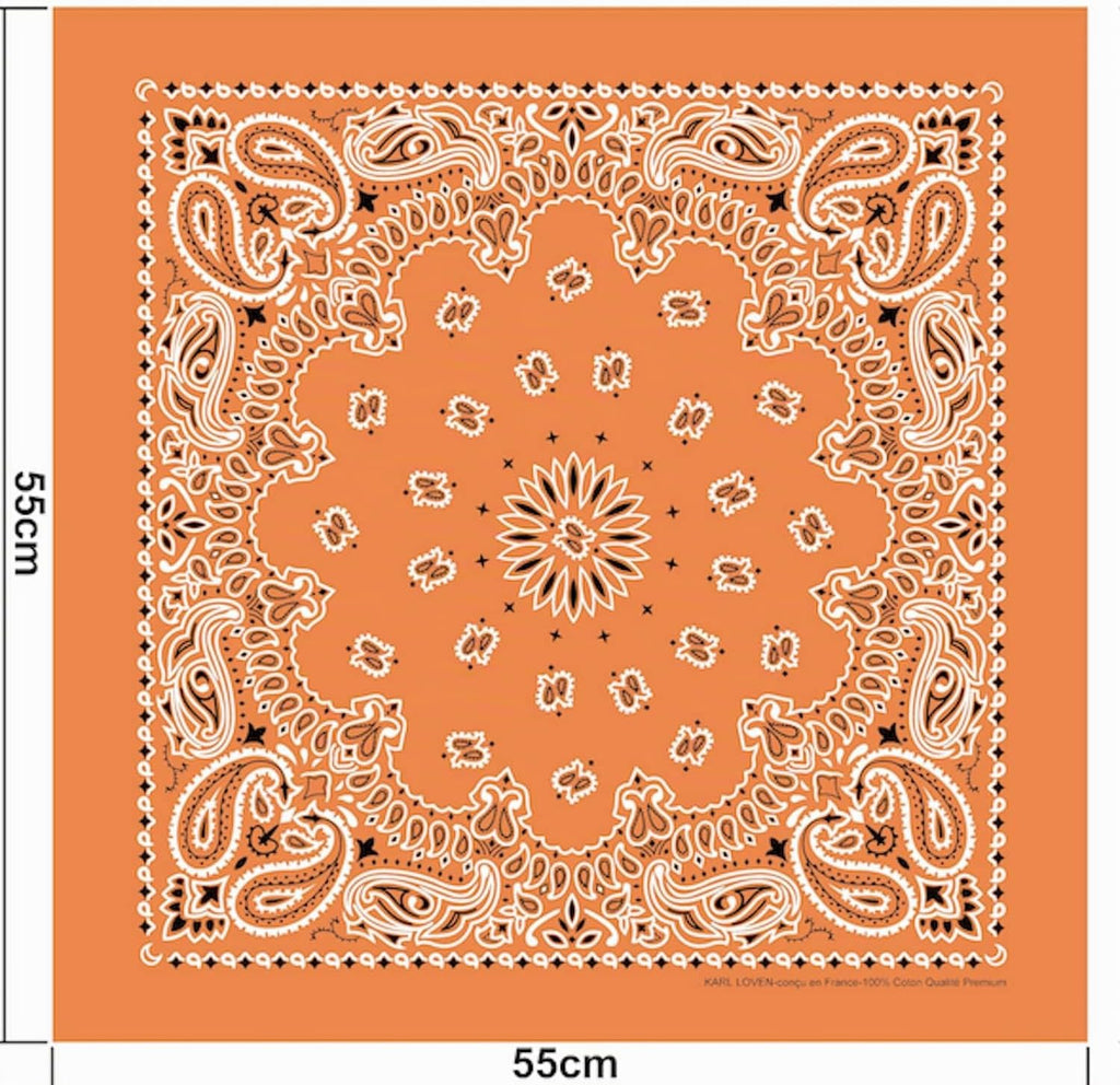 Bandana 100% Coton Qualité Premium - Epaisseur Supérieure - 20 Couleurs Exclusives - Motif Paisley