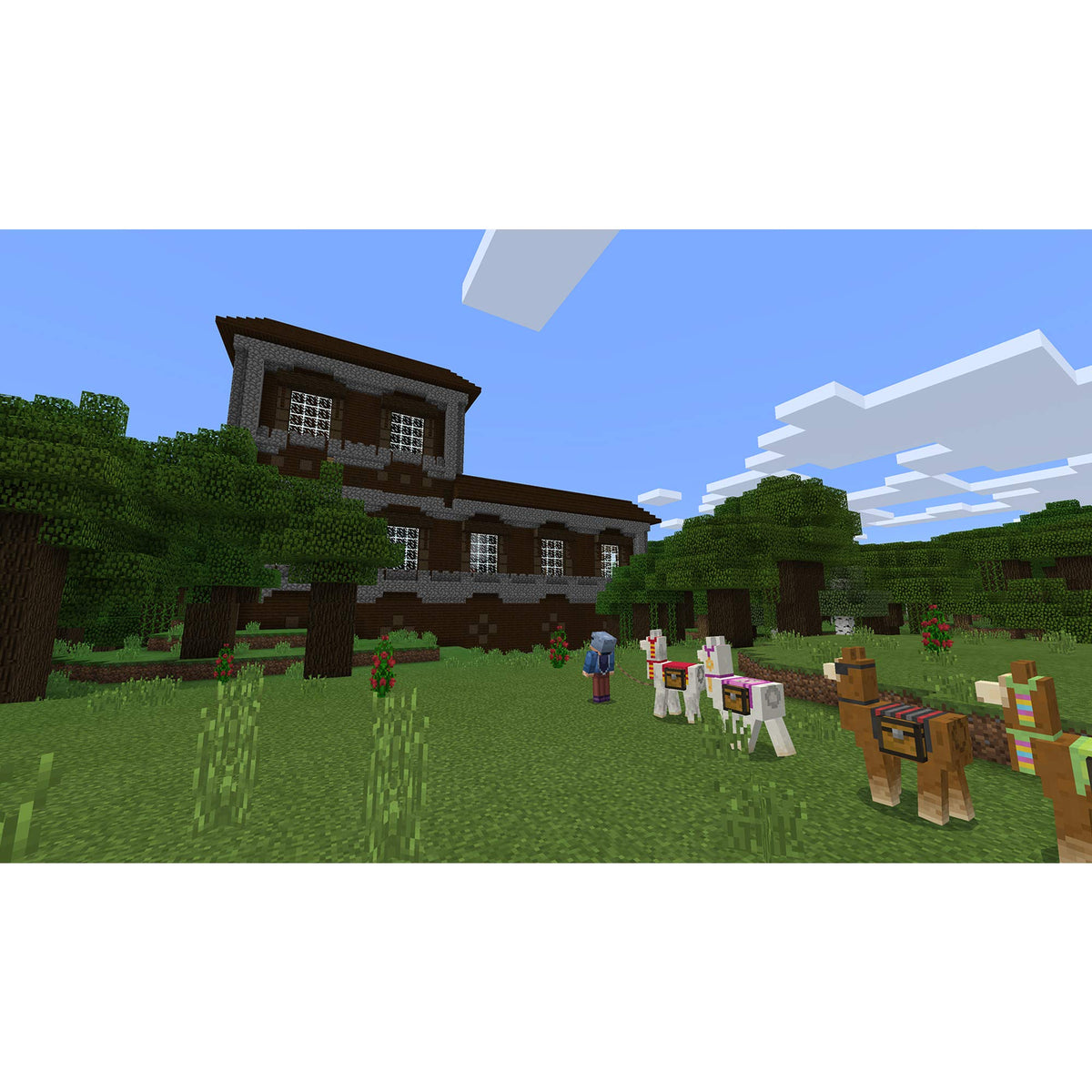 Minecraft Java & Bedrock Edition | Windows 10/11 - Download Code