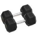 vidaXL Hantlar 2 st 10 kg totalt gjutjärn