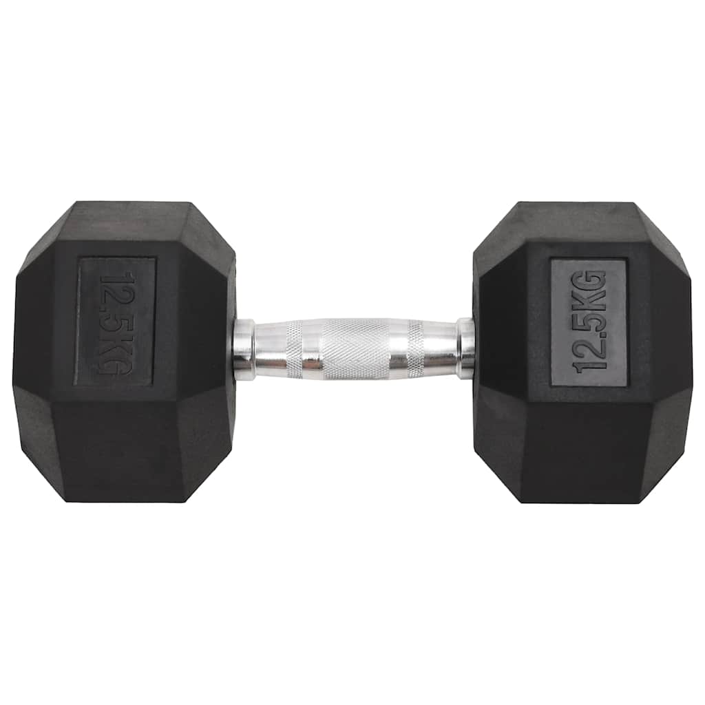 vidaXL Hantlar 2 st 12,5 kg totalt gjutjärn