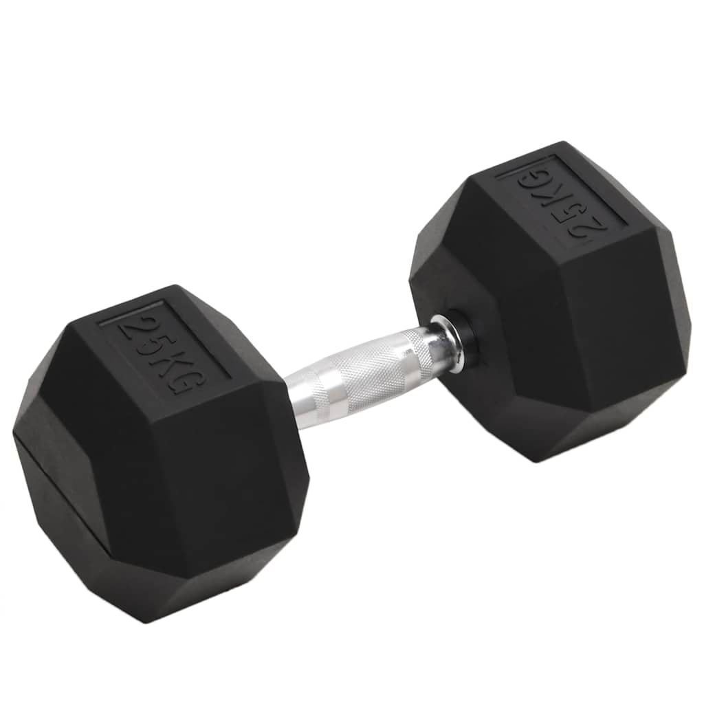 vidaXL Hantel 25 kg gjutjärn