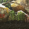 vidaXL Akvariesand 25 kg svart 0,2-2 mm