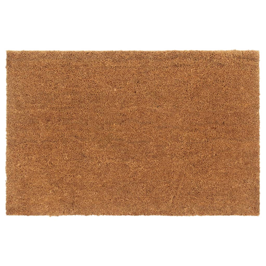 vidaXL Dörrmatta naturlig 65x100 cm tuftad kokos