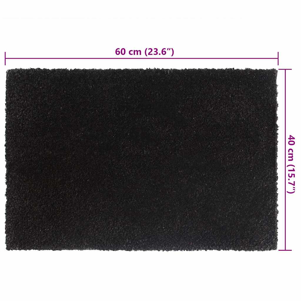 vidaXL Dörrmattor 2 st svart 40x60 cm tuftad kokos