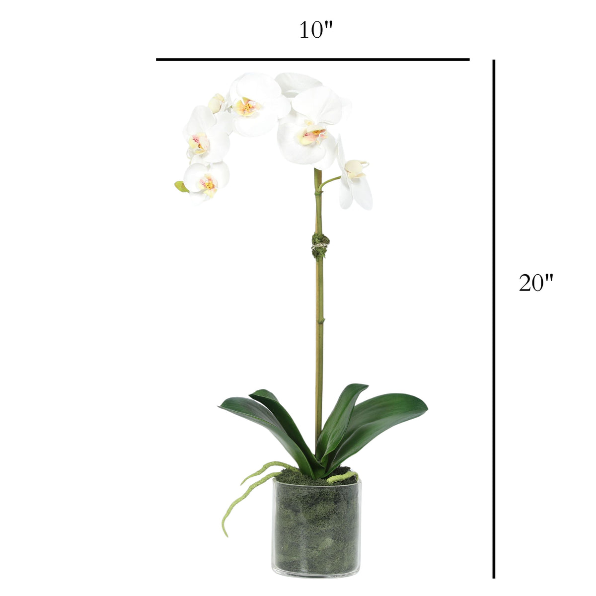 Planta de orquídea artificial en florero - 20"