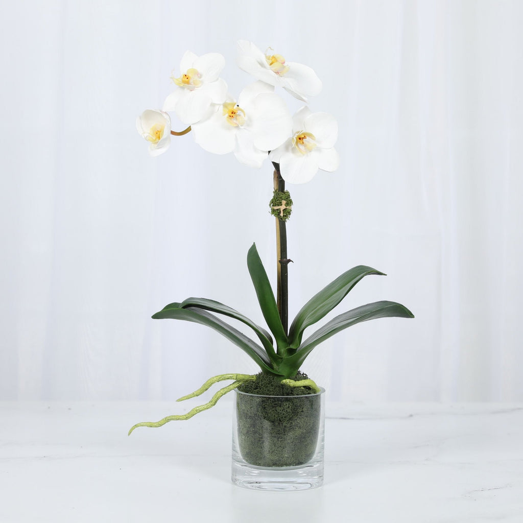 Faux Orchid Plant in Glass Vase