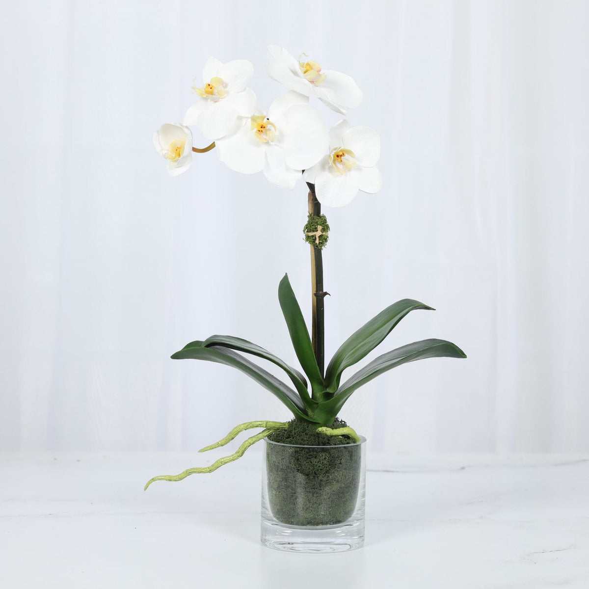 Faux Orchid Plant in Glass Vase