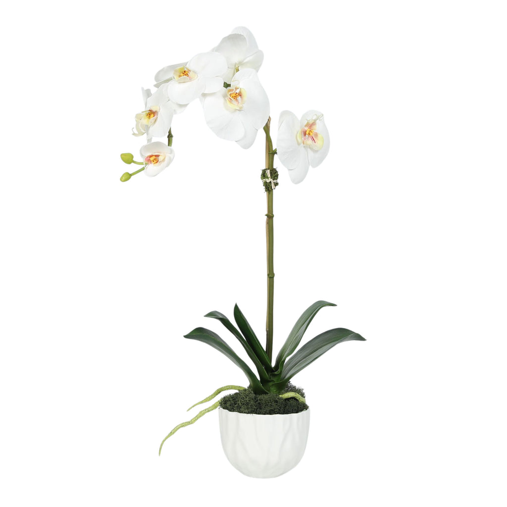 Faux Orchid Plant in White Vase - 18"