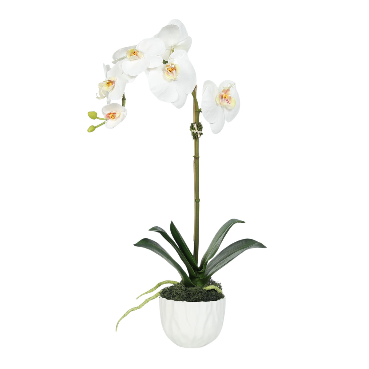 Konstgjord orkidé i vit vas - 46 cm