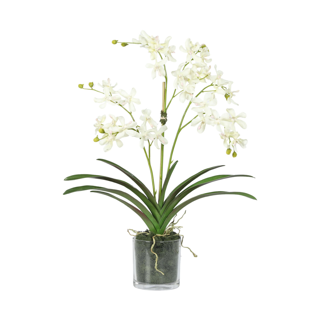 Kompozycja z orchidei w wazonie – 61 cm