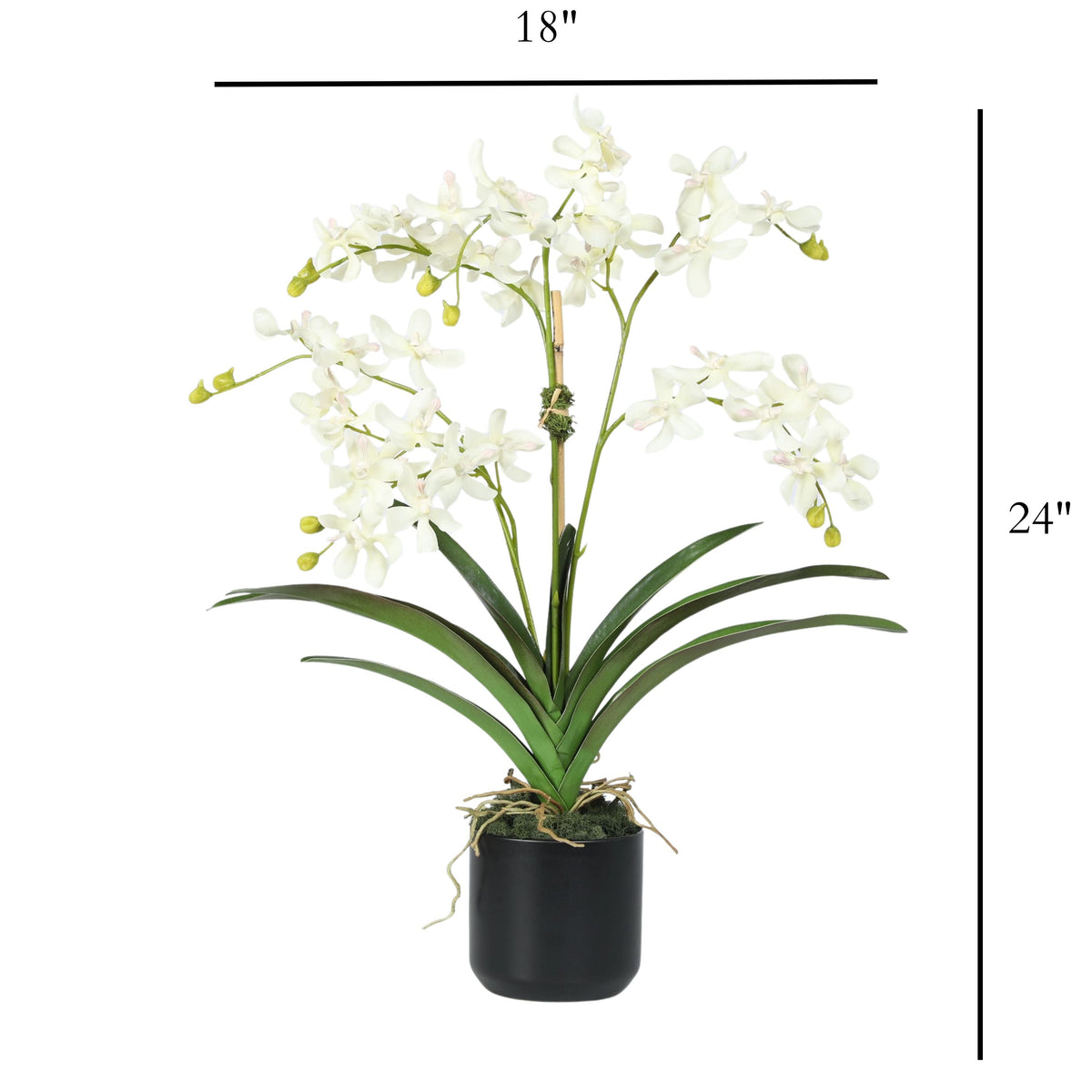Kompozycja z orchidei w wazonie – 61 cm