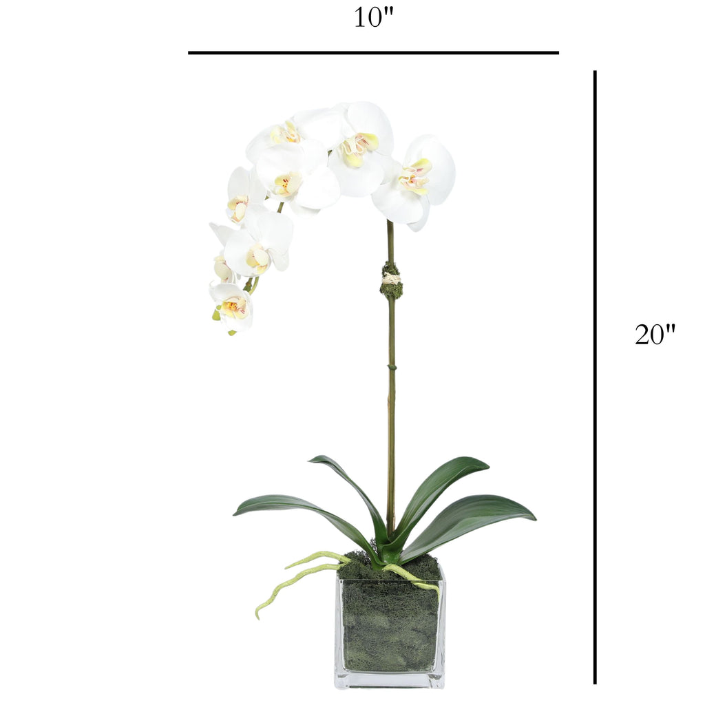 Faux Orchid Plant in Square Vase - 20"