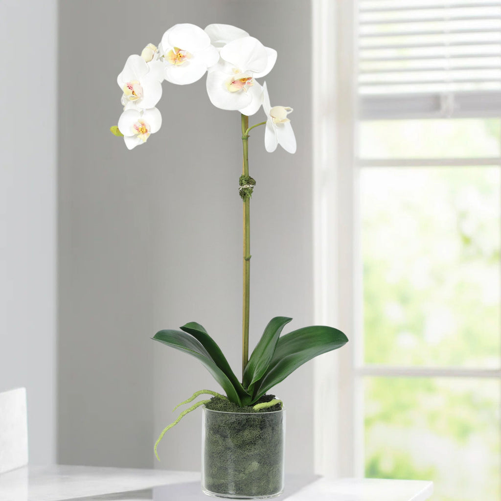 Artificial Orchid Plant in Vase - 20"