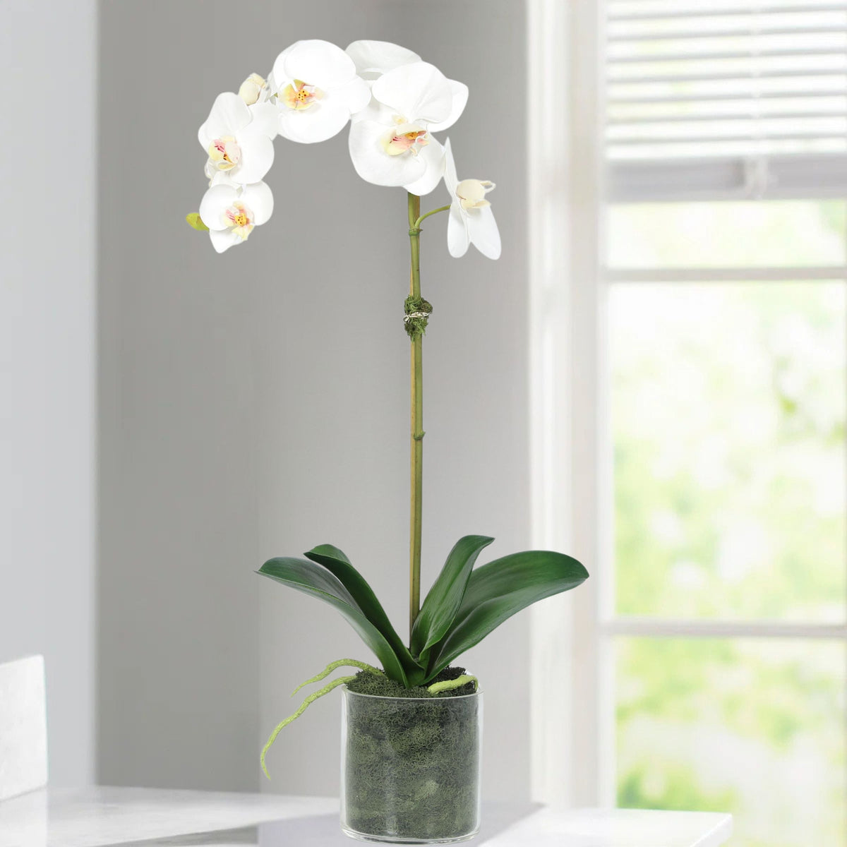 Planta de orquídea artificial en florero - 20"