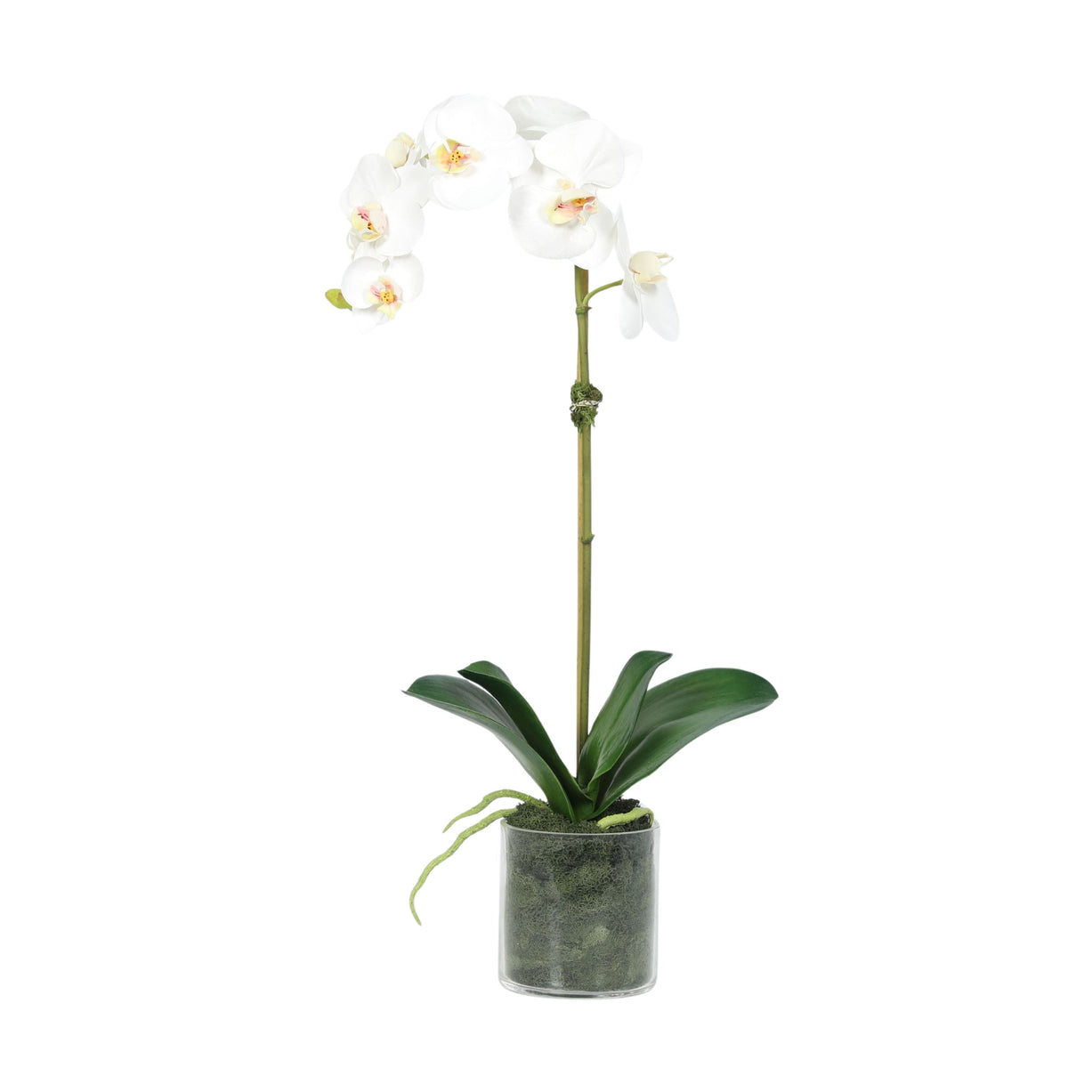 Planta de orquídea artificial en florero - 20"