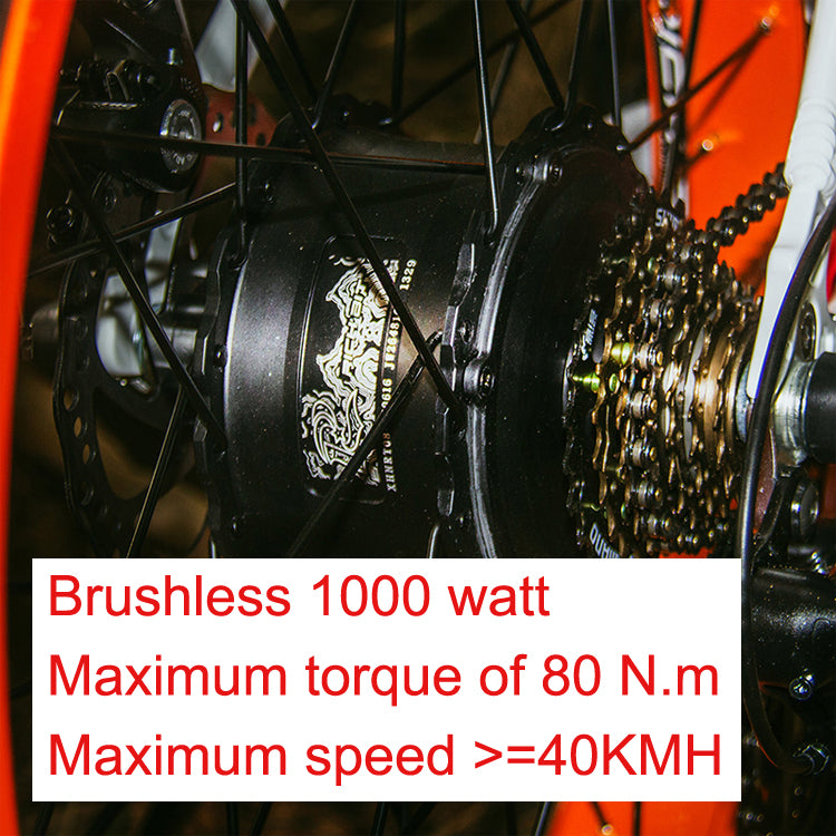 Free Shipping EU Warehouse Fat Tire E Bikes 1000w 1000 W Ebike