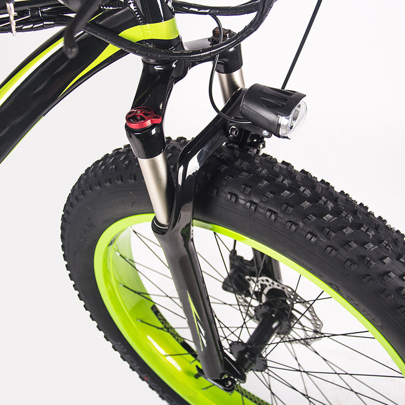 Professional Manufacture Cheap Superior Quality Electric Snow Bike