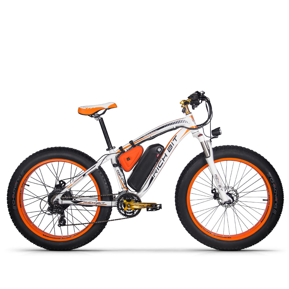 Professional Manufacture Cheap Superior Quality Electric Snow Bike