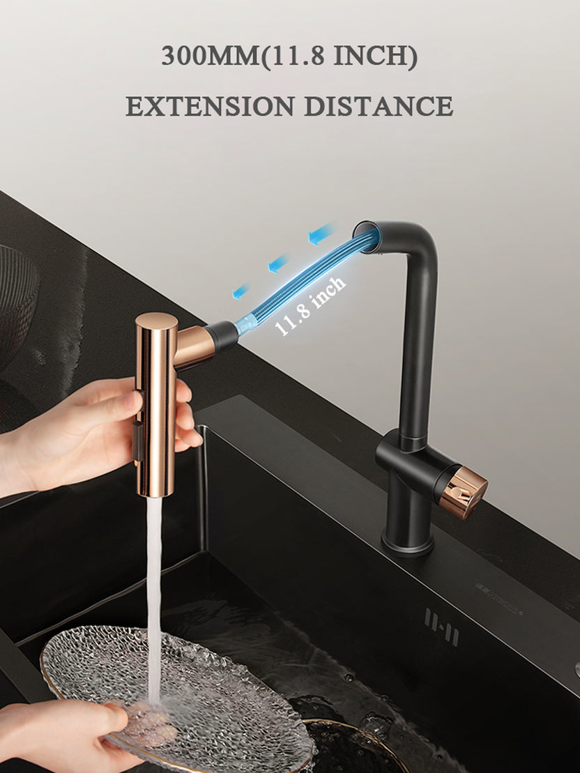 HIGOLD BN1.0 IF Design Award Single Handle Pull Down Sprayer Kitchen Faucet, Black Gold Finished, Brushed Nickel
