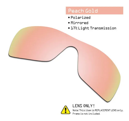 SmartVLT Polarisierte Ersatzgläser für Oakley Batwolf Sonnenbrillen - Mehrere Optionen