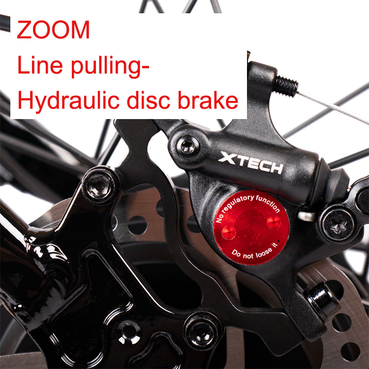 Free Shipping EU Warehouse Fat Tire E Bikes 1000w 1000 W Ebike