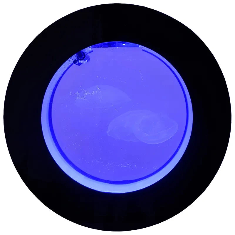 Acuario de escritorio de acrílico blanco y negro para medusas, 8l/18l/50l, pecera pequeña, regalo para el hogar, acuario redondo, pecera creativa