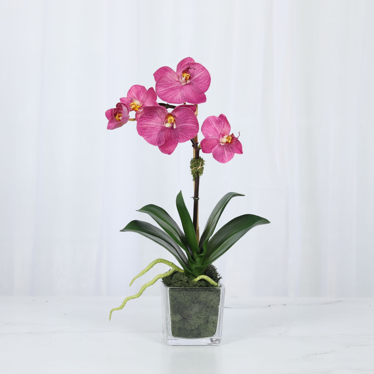 Mini Orchid Arrangement in Square Glass Vase