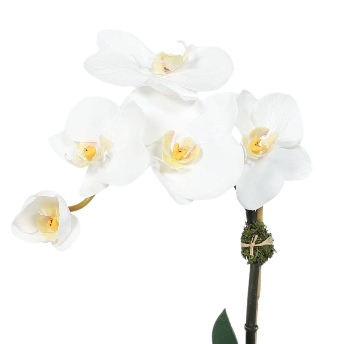 Faux Orchid Plant in Glass Vase