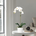 Artificial Orchid Plant in Vase - 20"