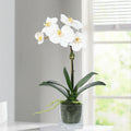 Faux Orchid Plant in Glass Vase