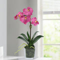 Arreglo de mini orquídeas en florero de vidrio cuadrado