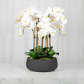 Faux White Orchid Arrangement in Matte Black Planter