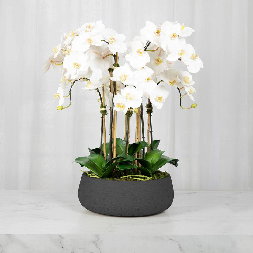 Faux White Orchid Arrangement in Matte Black Planter