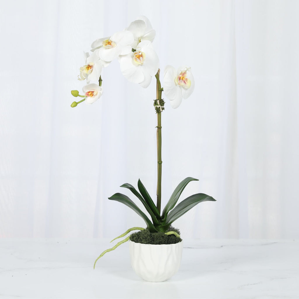 Faux Orchid Plant in White Vase - 18"