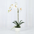 Faux Orchid Plant in White Vase - 18"