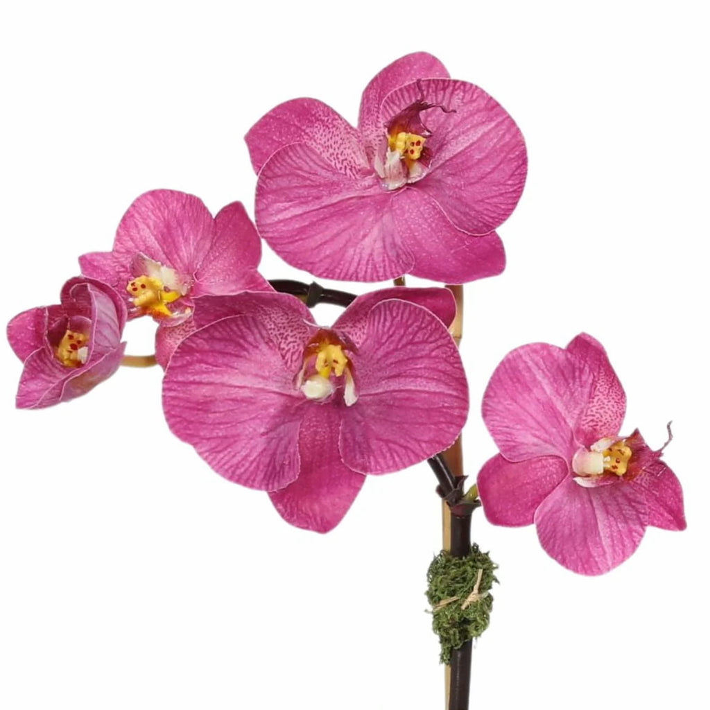 Arreglo de mini orquídeas en florero de vidrio cuadrado